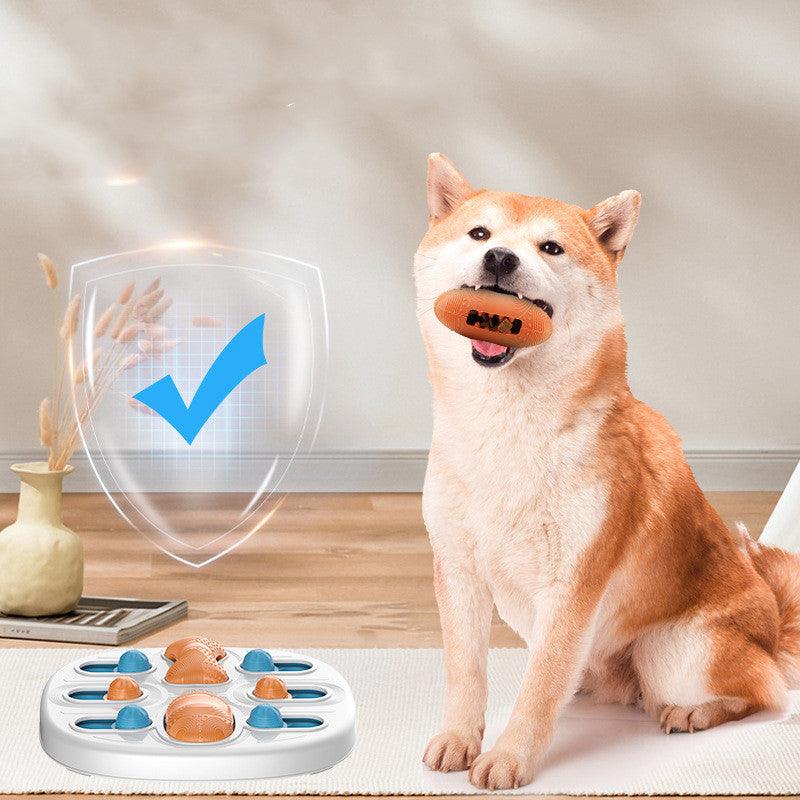 Pet Lick 'N' Learn Slow Feeder